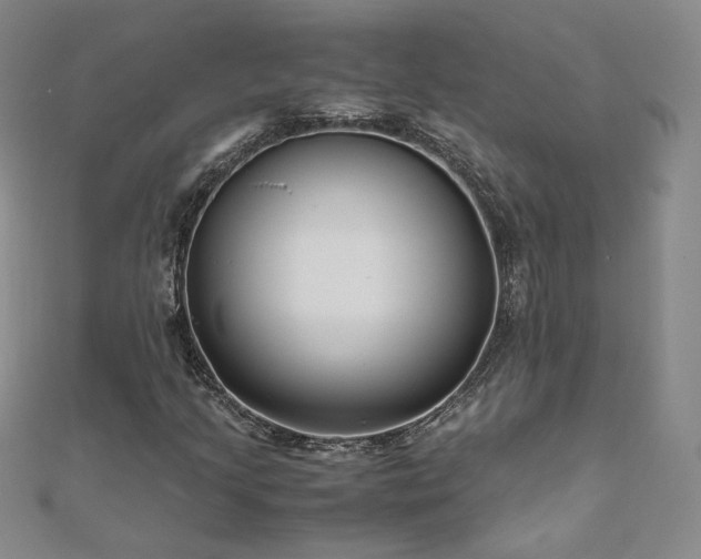 X0000111011205200906191604