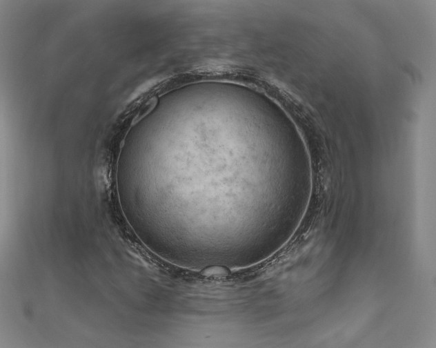 X0000111011206200906191604