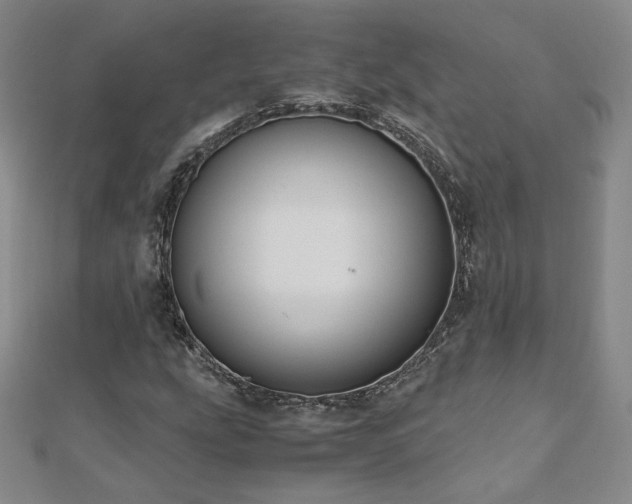 X0000111011207200906191604