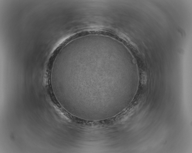 X0000111011208200906191604