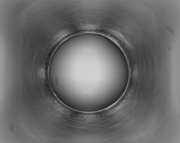 X0000111011209200906191605