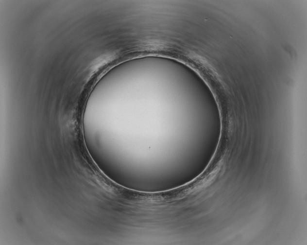 X0000111011210200906191605
