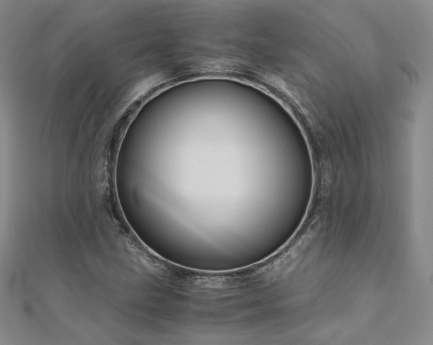 X0000111011211200906191605