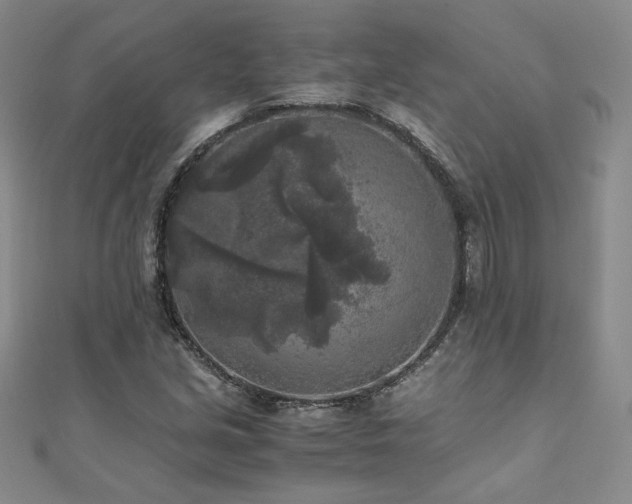 X0000111011213200906191605