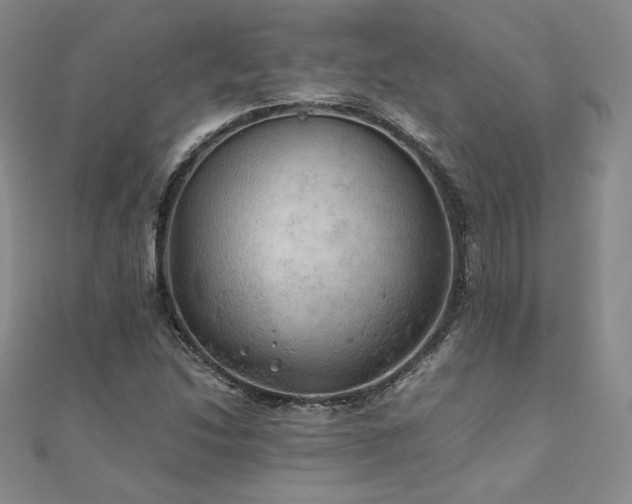 X0000111011214200906191605