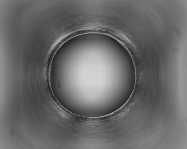X0000111011216200906191605