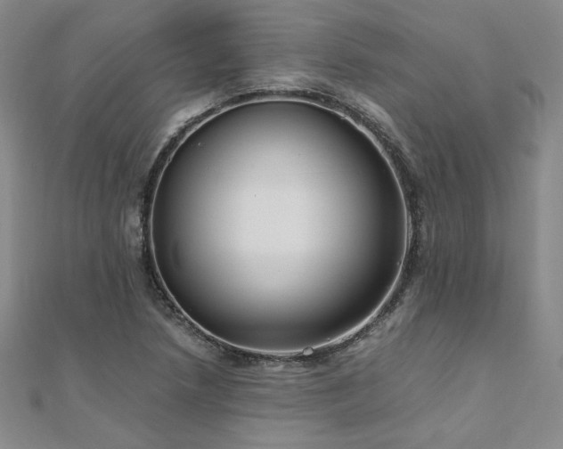 X0000111011218200906191605
