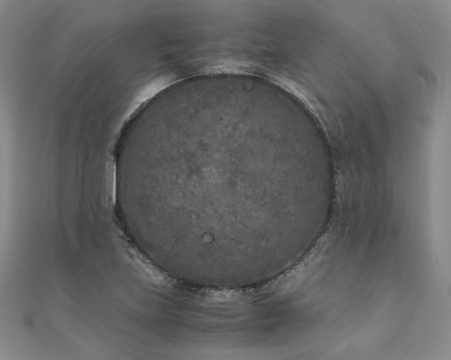 X0000111011219200906191605