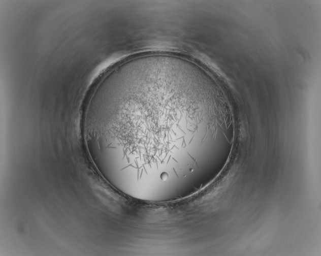 X0000111011222200906191605