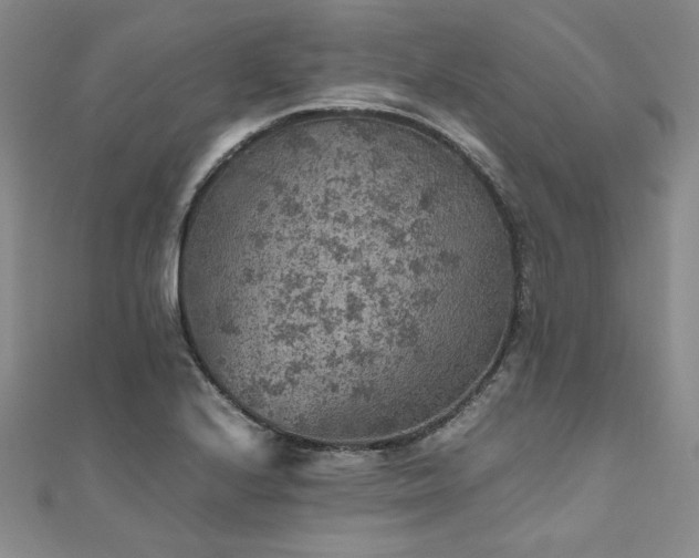 X0000111011224200906191605