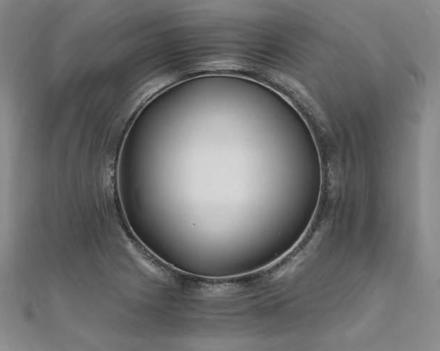 X0000111011225200906191605
