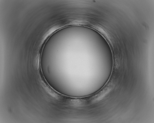 X0000111011227200906191605