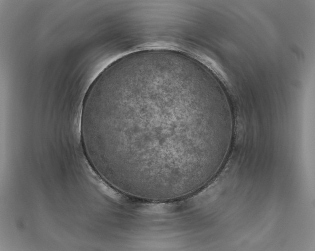 X0000111011228200906191605