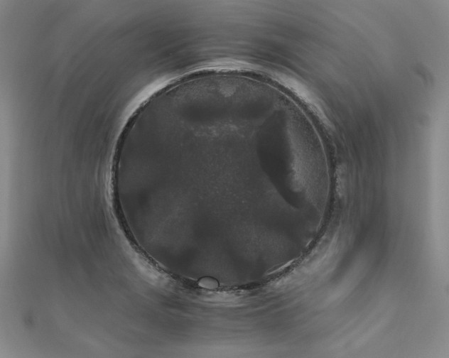 X0000111011229200906191605