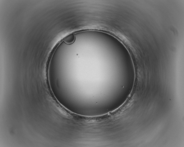 X0000111011230200906191605