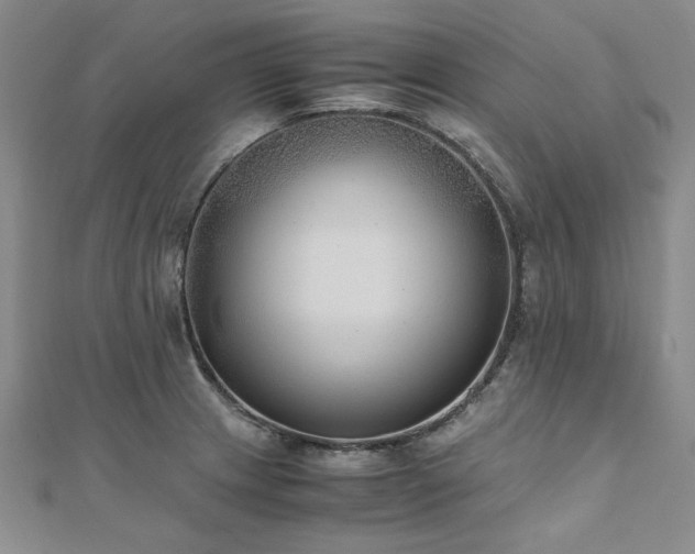 X0000111011233200906191605