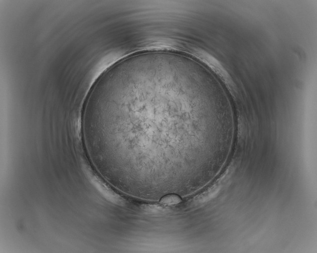 X0000111011234200906191605