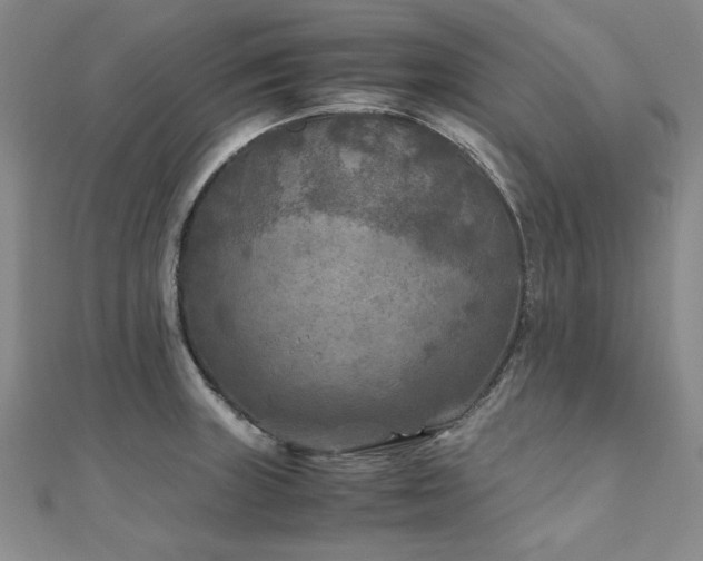 X0000111011235200906191605