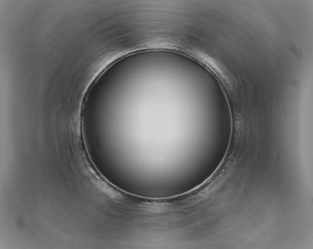 X0000111011236200906191605
