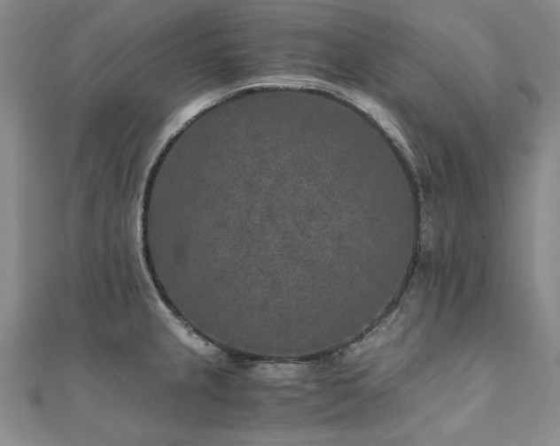 X0000111011237200906191605