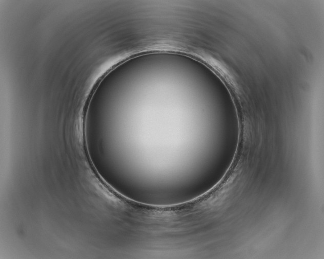 X0000111011238200906191605