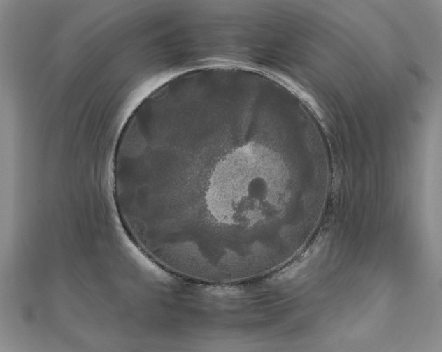 X0000111011239200906191605
