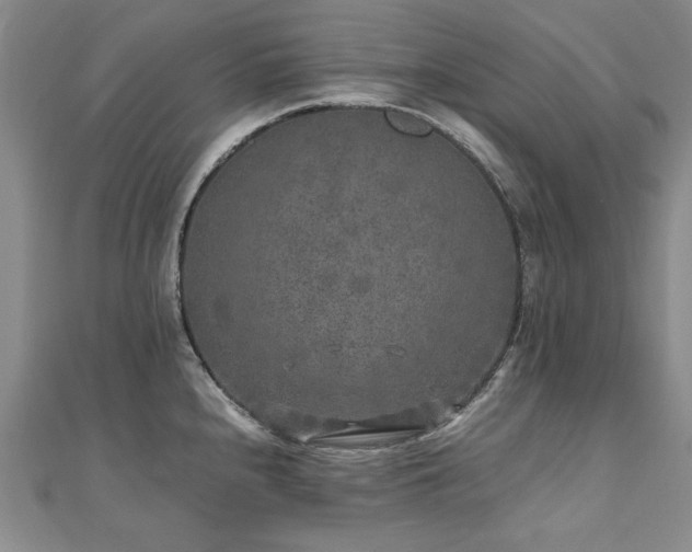 X0000111011240200906191605