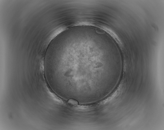 X0000111011241200906191605