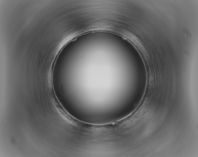 X0000111011242200906191605