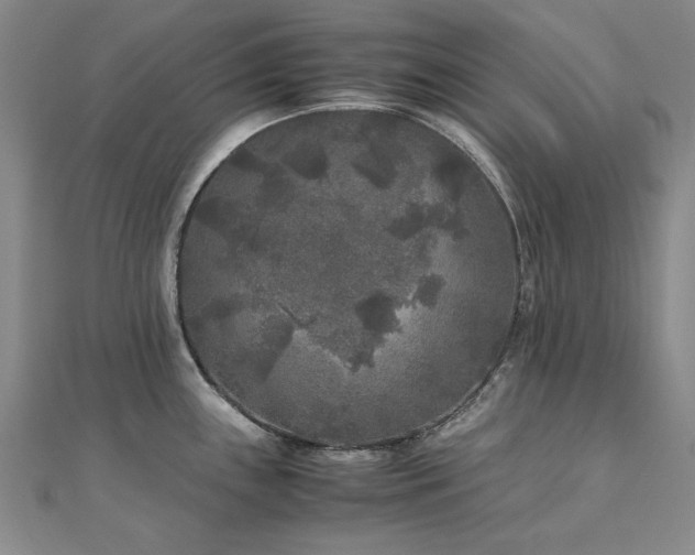 X0000111011243200906191605