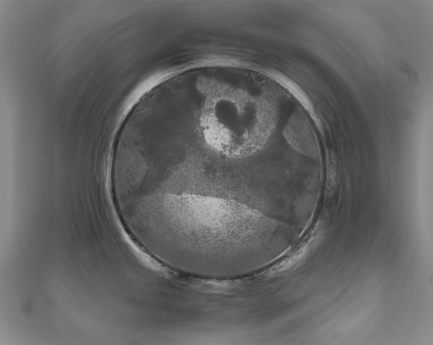 X0000111011245200906191605