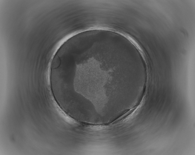 X0000111011246200906191605