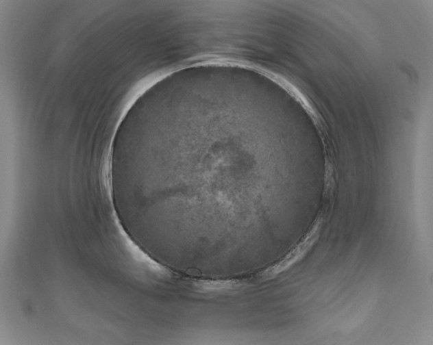 X0000111011247200906191605