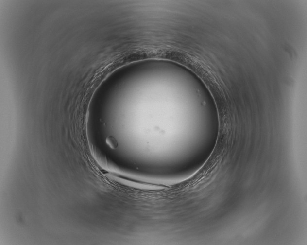 X0000111011249200906191604
