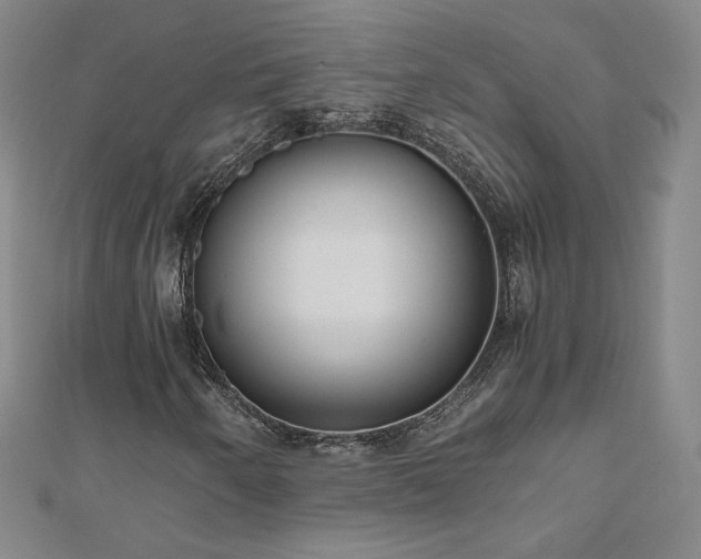 X0000111011250200906191604