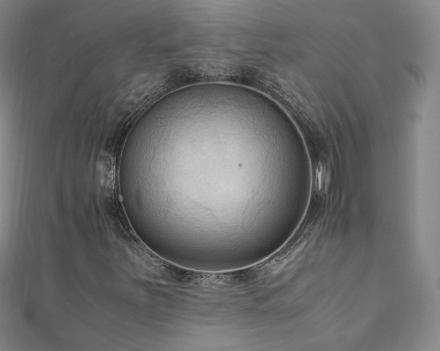 X0000111011251200906191604