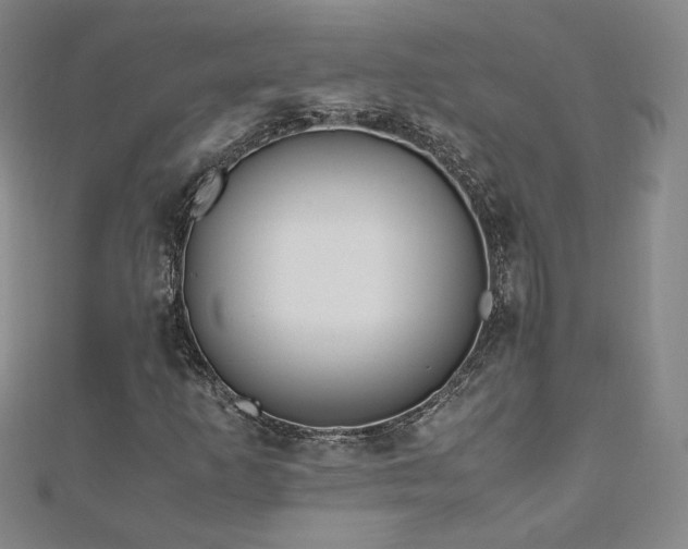 X0000111011253200906191604