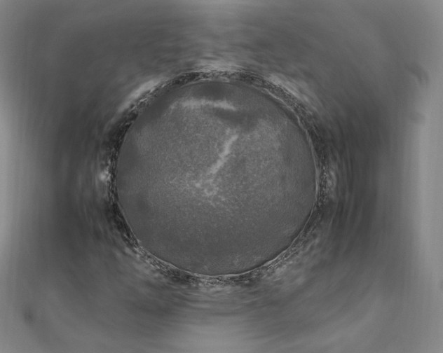 X0000111011254200906191604
