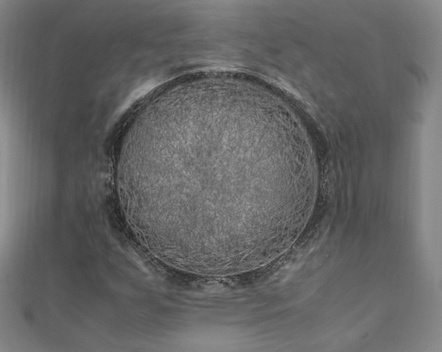 X0000111011255200906191604