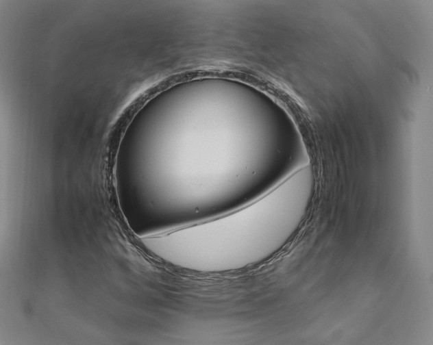 X0000111011256200906191604