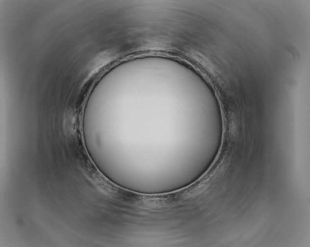 X0000111011258200906191604