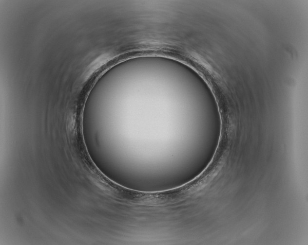 X0000111011259200906191604