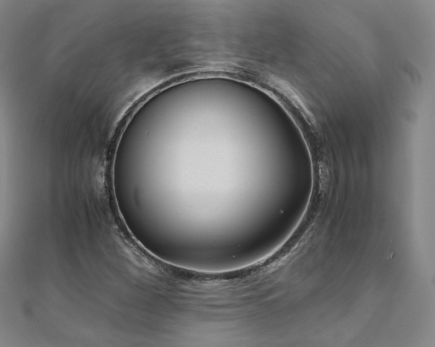 X0000111011260200906191604