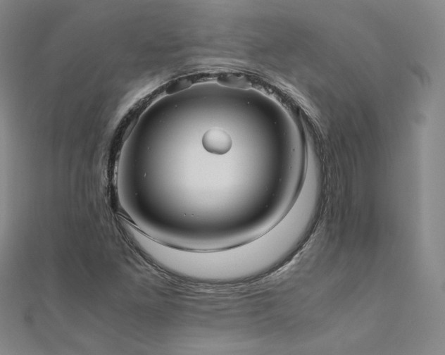 X0000111011261200906191604