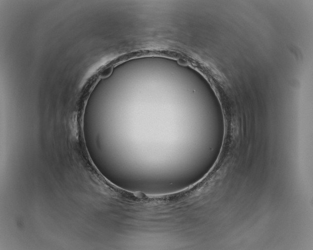 X0000111011262200906191604