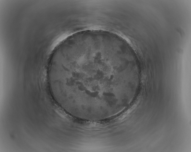 X0000111011263200906191604