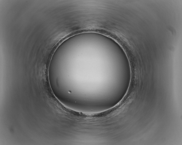 X0000111011265200906191604