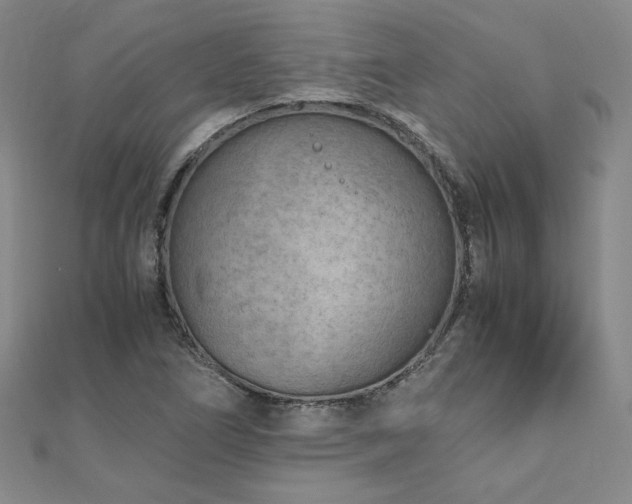 X0000111011266200906191604