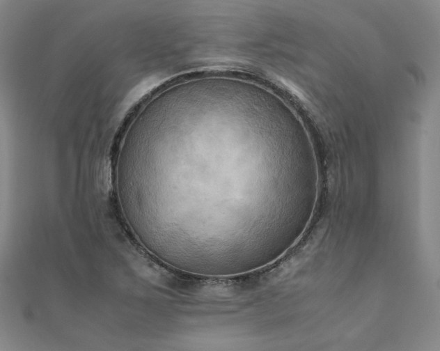 X0000111011267200906191604