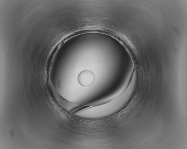X0000111011268200906191604